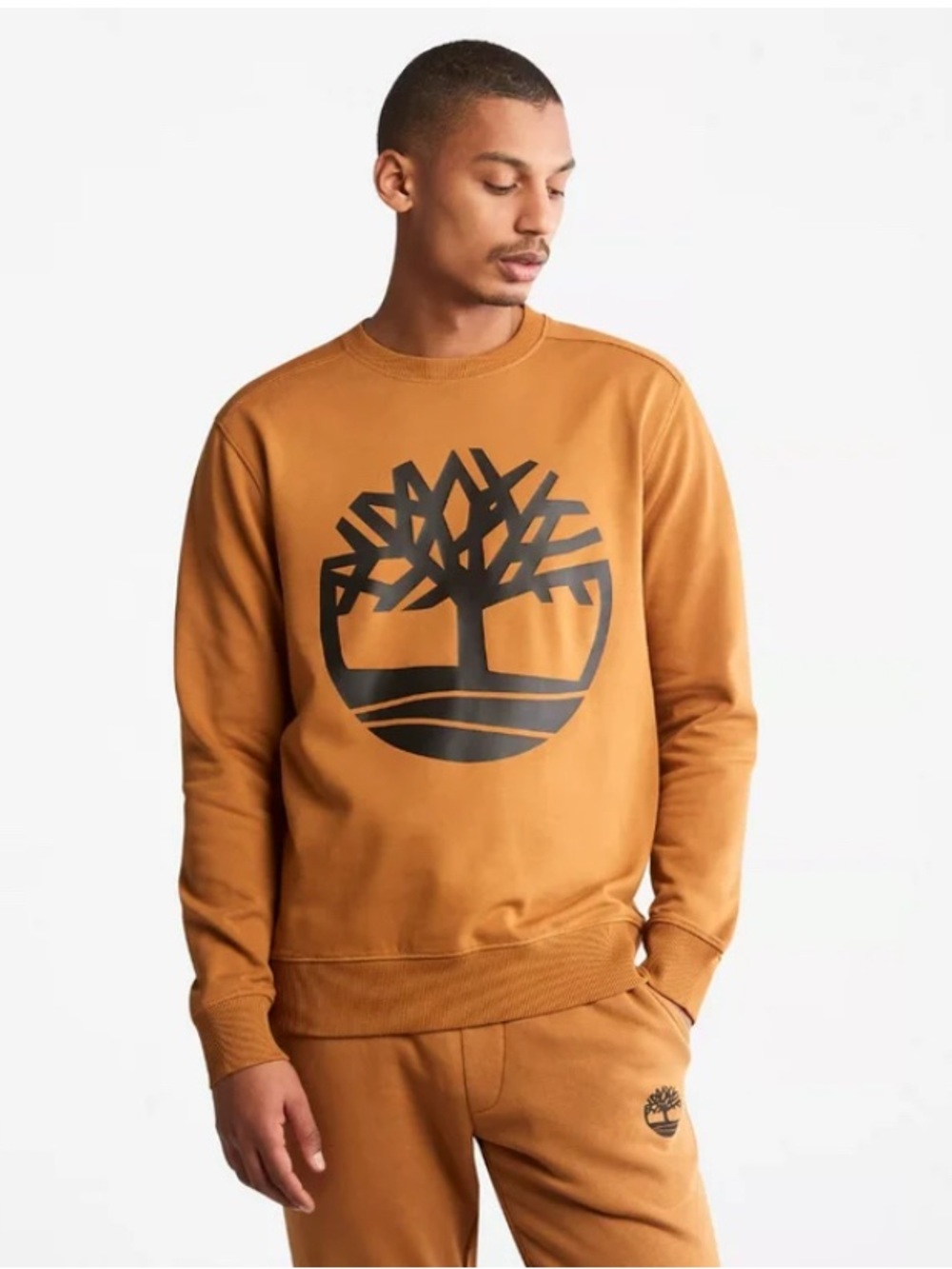Timberland Core Tree Logo Crewneck Sweatshirt, signature “wheat” colorway, XXL